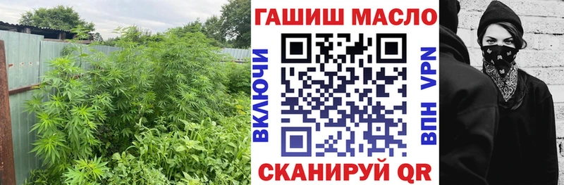 ТГК Wax ОМГ ОМГ онион Юхнов