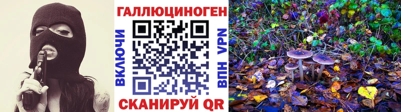 Псилоцибиновые грибы MAGIC MUSHROOMS  mega ТОР  Юхнов  купить  сайты 